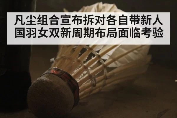 凡尘组合宣布拆对各自带新人国羽女双新周期布局面临考验