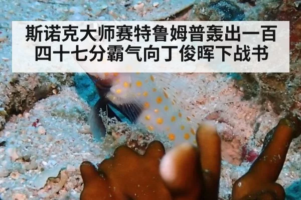 斯诺克大师赛特鲁姆普轰出一百四十七分霸气向丁俊晖下战书